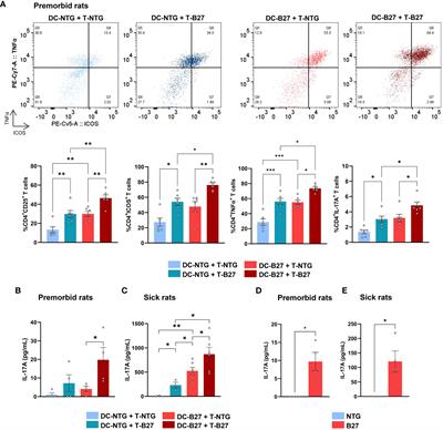 STAT1 deficiency underlies a proinflammatory imprint of naive CD4+ T cells in spondyloarthritis